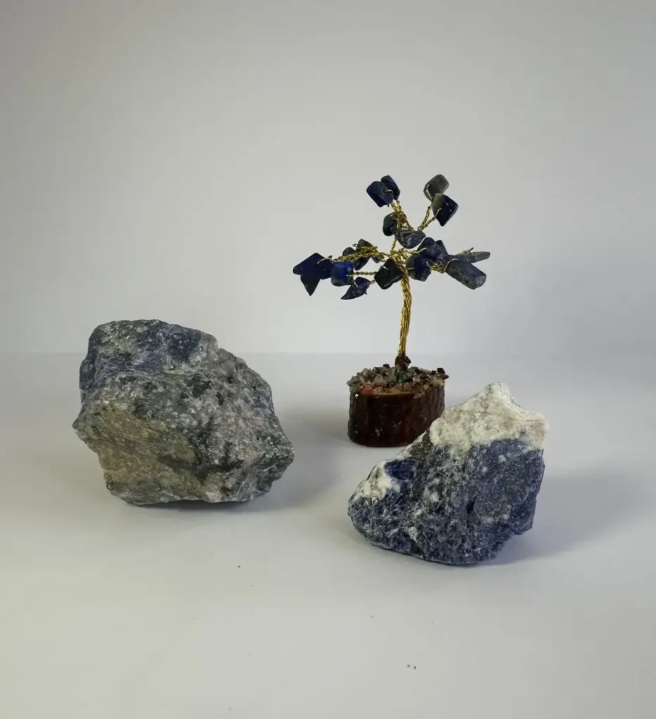 Sodalite Small Crystal Tree