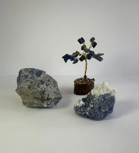 Sodalite Small Crystal Tree